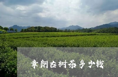 章朗古树茶多少钱/2023032654939