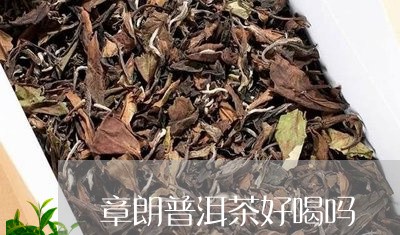 章朗普洱茶好喝吗/2023033149262