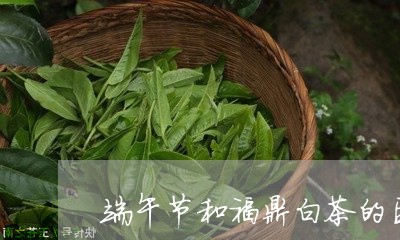 端午节和福鼎白茶的区别/2023032717351