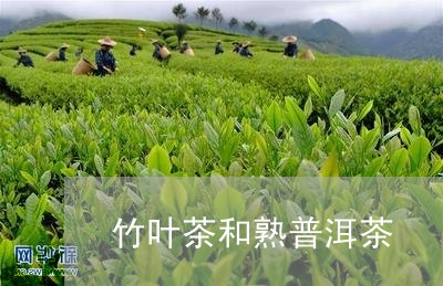 竹叶茶和熟普洱茶/2023041147350