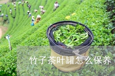 竹子茶叶罐怎么保养/2023032210682