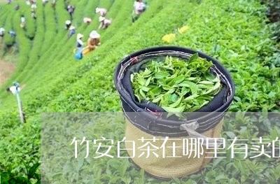 竹安白茶在哪里有卖的呀/2023032727482