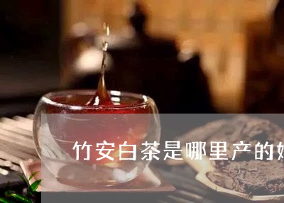 竹安白茶是哪里产的好啊/2023032712737