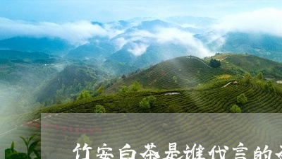 竹安白茶是谁代言的茶叶/2023032782938