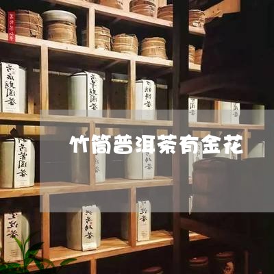 竹筒普洱茶有金花/2023041081482