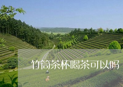 竹筒茶杯喝茶可以吗/2023041651605