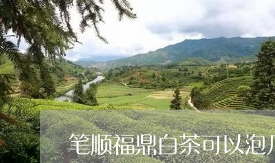 笔顺福鼎白茶可以泡几泡/2023032772626