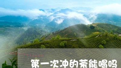 第一次冲的茶能喝吗/2023041457614