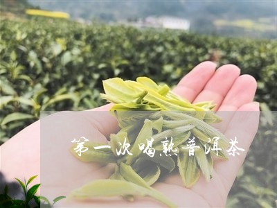 第一次喝熟普洱茶/2023031612915