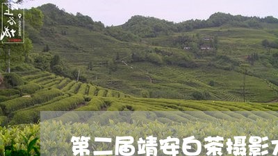 第二届靖安白茶摄影大赛/2023032792714