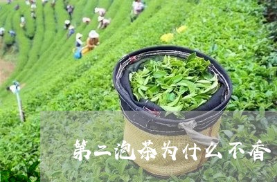 第二泡茶为什么不香/2023041601826