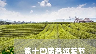 第十四届普洱茶节/2023031747613