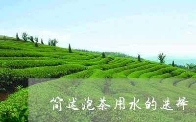 简述泡茶用水的选择/2023041626381