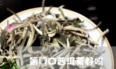 箐门口普洱茶好吗/2023041004948