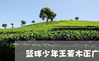 篮球少年王茶木正广/2023032093038