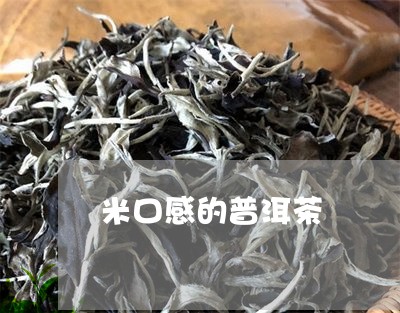 米口感的普洱茶/2023031636130