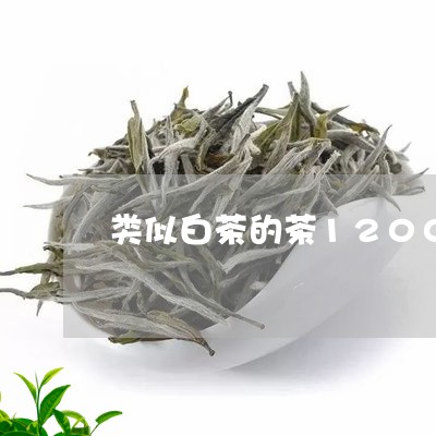 类似白茶的茶1200一斤/2023033175260