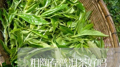 粗陶存普洱茶好吗/2023040151815