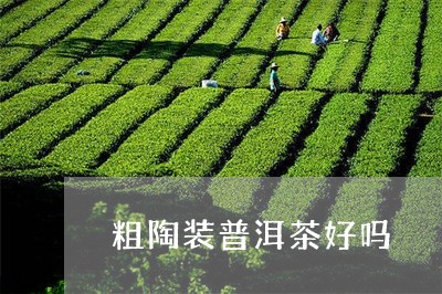 粗陶装普洱茶好吗/2023040112693