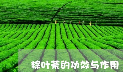 粽叶茶的功效与作用/2023041781807