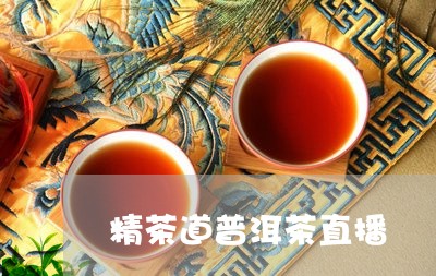 精茶道普洱茶直播/2023041352503