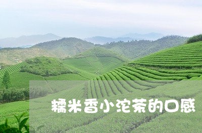 糯米香小沱茶的口感/2023041671706