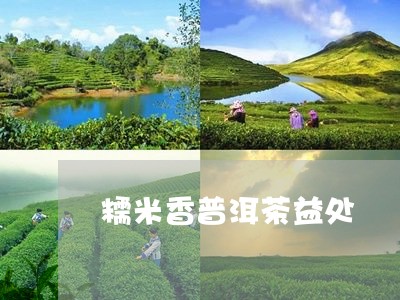 糯米香普洱茶益处/2023041268293