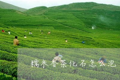 糯米香茶化石怎么泡/2023041684937