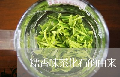 糯香味茶化石的由来/2023041645491