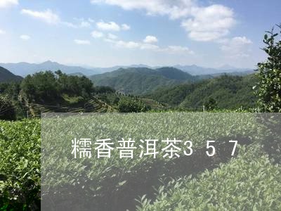 糯香普洱茶357/2023031818340