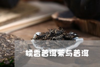 糯香普洱茶与普洱/2023041015159