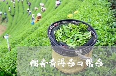 糯香普洱茶口粮茶/2023041152682