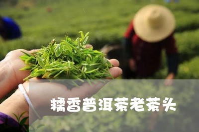 糯香普洱茶老茶头/2023031681824