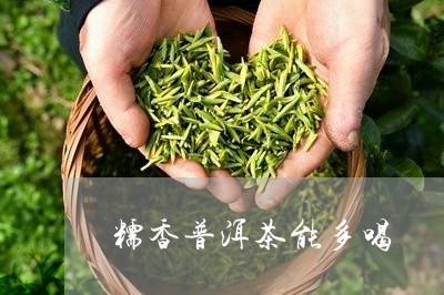 糯香普洱茶能多喝/2023033127460