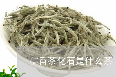 糯香茶化石是什么茶/2023041684935