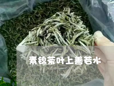 素锦茶叶上善若水/2023032506260