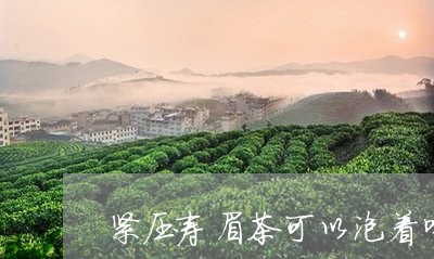 紧压寿眉茶可以泡着喝吗/2023032785179