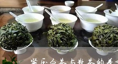 紧压白茶与散茶的差异点/2023032751725