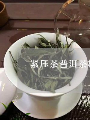 紧压茶普洱茶标准/2023041114159