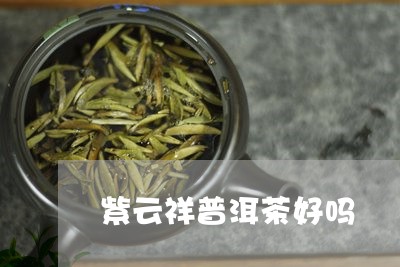 紫云祥普洱茶好吗/2023041023947