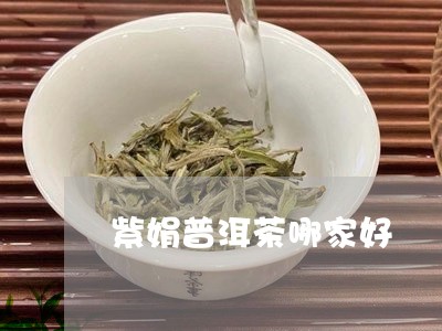 紫娟普洱茶哪家好/2023041372826