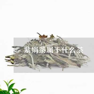 紫娟茶属于什么茶/2023032469502