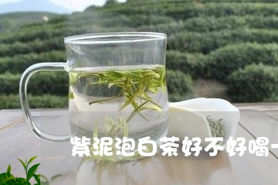 紫泥泡白茶好不好喝一点/2023032783737