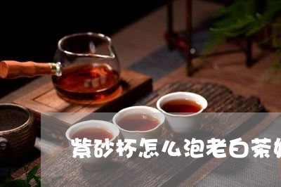 紫砂杯怎么泡老白茶好喝/2023032780351