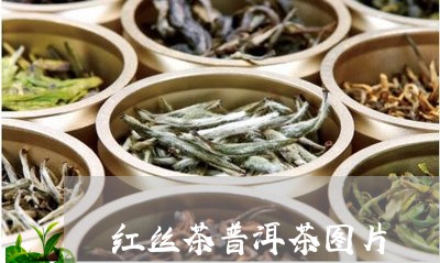 红丝茶普洱茶图片/2023041114825