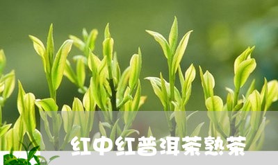 红中红普洱茶熟茶/2023041129161