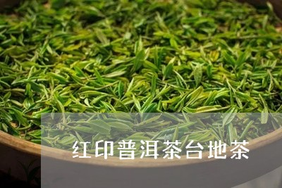 红印普洱茶台地茶/2023031860614