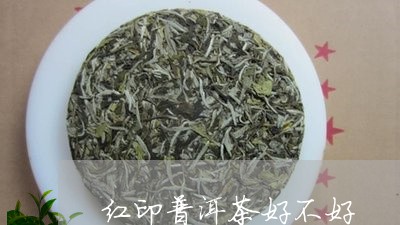 红印普洱茶好不好/2023033104927