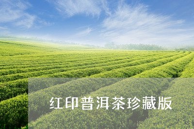 红印普洱茶珍藏版/2023041370593