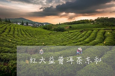 红大益普洱茶东和/2023033195160